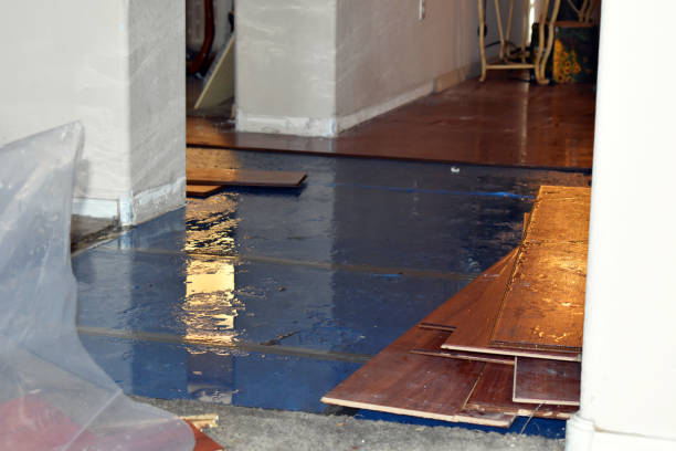 Professional Sewage Cleanup technician working in Highland, OH